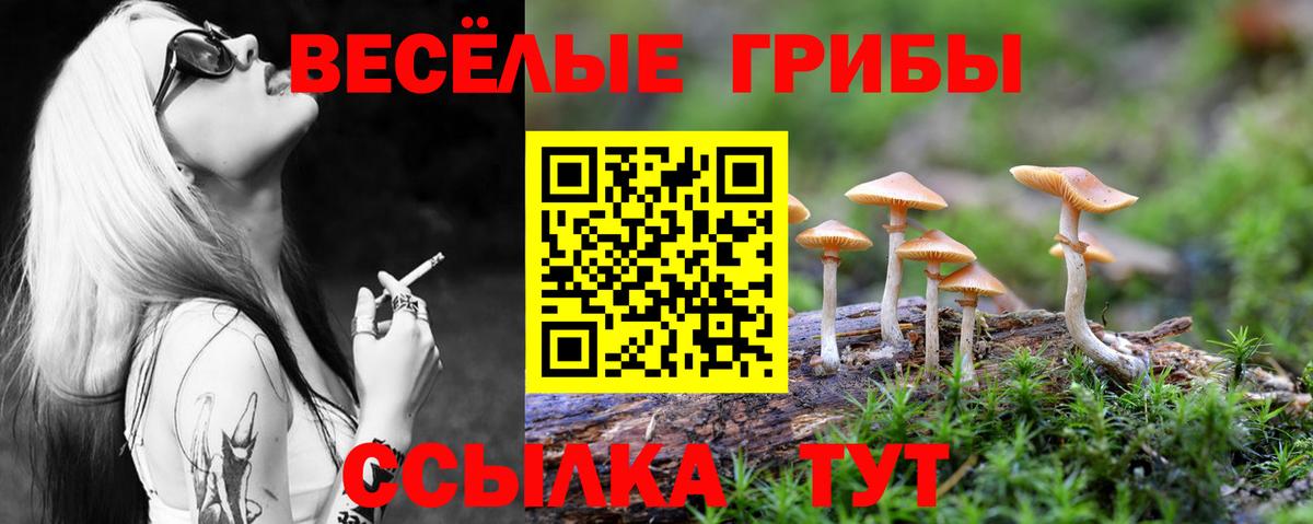 Галлюциногенные грибы Cubensis  Вход с VPN  Новоуральск 